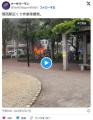セブンイレブンの隣で爆発店がメチャ..