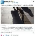 「女性の社会進出で少子化が進んだ」の的外れ国勢調査では共働き世帯の方が子どもの数が多い傾向