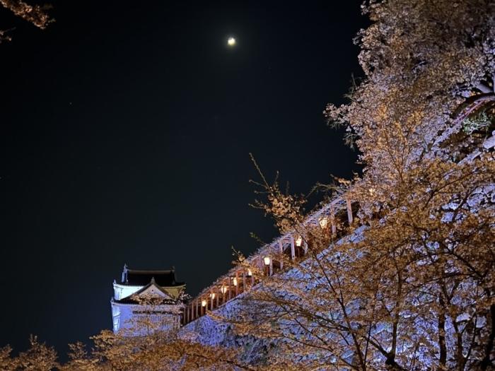 日本さくら名所100選 津山城のイメージ画像