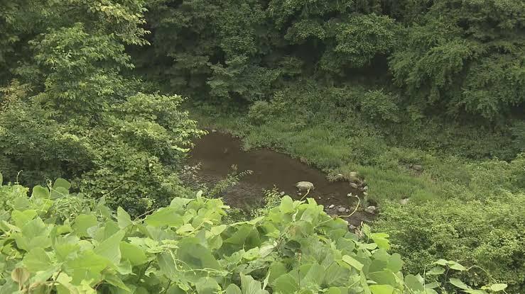 「気づく間もなく…」猛禽類の生息調査中 クマに襲われ２人けが 福島・下郷町