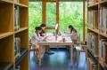 重慶市で夏休みの森林図書館が大人気..
