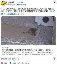【北海道】ネズミ異常発生！道南の街を席巻…駆除グッズは「爆売れ」 住宅街・農地を脅かす異常事態に記者も悲鳴のイメージ画像
