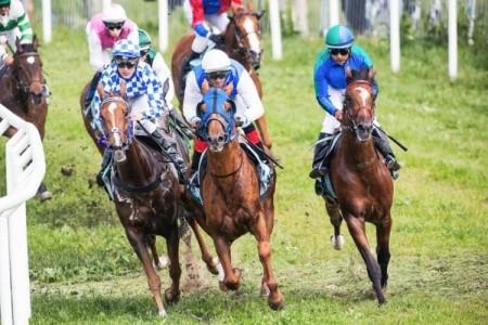 秋競馬到来！中山阪神芝コースにかなりの違いがあるかも