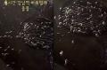 「大きなゴキブリが一斉に群れで…衝撃的」 ソウル江南駅マンホールのホラー動画＝韓国