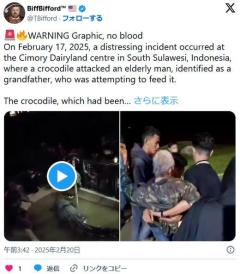 テーマパークのワニに男性が噛まれ、水に引き込まれる