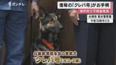 脱走した警察犬が お手柄 行方不明の81歳女性を発見 感謝状と好物の 骨ガム 贈られる 事件 事故掲示板 爆サイ Com関東版