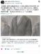 【江別大学生集団暴行死】当時18歳高校生だった男に懲役20年を求刑「俺ってそんなに悪いのかな」検察は役割や年齢を考慮　判決は25日