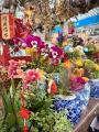 「春節に飾る花」が大人気に、注目の..