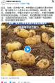中国人「村民の大群にジャガイモ略奪..
