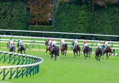 ウマ娘オーナーも期待、新種牡馬産駒の“真打ち”登場