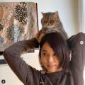 これは癒される！石田ゆり子、猫を肩..