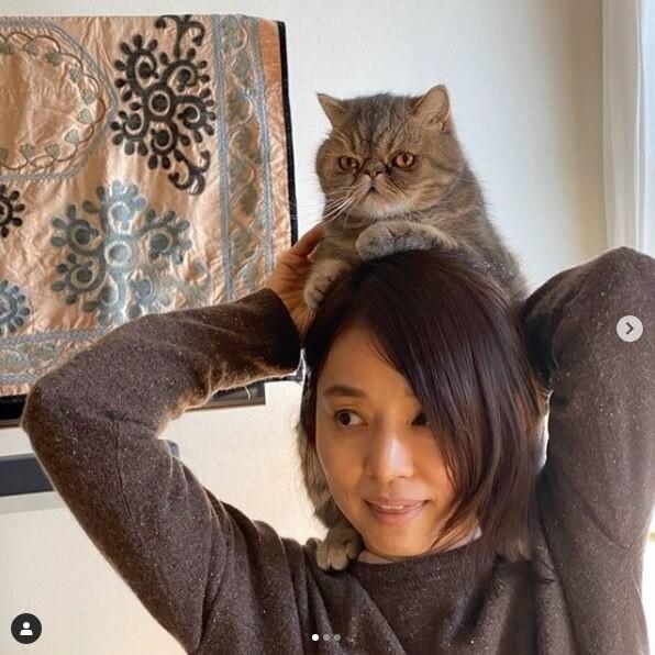 これは癒される！石田ゆり子、猫を肩に乗せた かたぐるま姿 に大反響