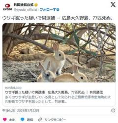 ウサギ蹴った疑いで男逮捕広島大久野島、77匹死ぬのイメージ画像