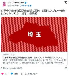 【埼玉】女子中学生(14)を強盗致傷容疑で逮捕 顔面にスプレー噴射しひったくりか 春日部市のイメージ画像