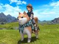 スクエニのFF14まで…ふるさと納税返礼品に「ゲームアイテム」の事例続々　企業・自治体双方に有用な背景