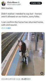オーストラリアで競走馬が駅ホームに迷い込んで列車と遭遇！「なぜこんなことに」「黃線の内側にいてよかった」のイメージ画像