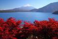 いつかは富士山で紅葉狩りドライブデ..