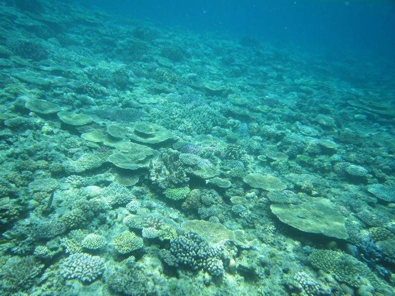 水納島のイメージ画像