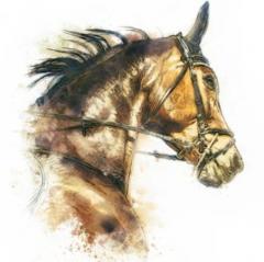 サラリーマンでも馬主になれる！？