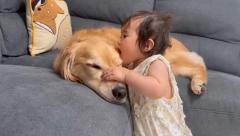 1歳児の「犬吸い」に癒される！純粋すぎる愛情表現とゴールデンレトリバーの優しさ