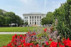 トランプ政権、ハーバード大学がユダヤ人の公民権を侵害と主張、資金凍結を警告