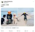 ワンちゃんとの3ショットの裏では……..