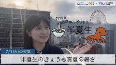 半夏生のきょうも真夏の暑さのイメージ画像