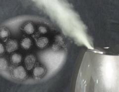 インフル猛威で加湿器需要上昇 国内メーカー出荷量1.5倍 医師「湿度50％以上推奨」のイメージ画像