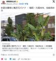 市道分離帯に無許可バナナ久留米市、..