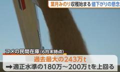 【コメ余り】民間在庫量は過去最大…『葉月みのり』の収穫始まるも“値下がり”懸念「生産者・消費者ともに納得できる価格帯に」新潟・柏崎市のイメージ画像