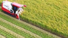 水不足で今年もコメ高騰の予測、日本で「水田」は限界か 技術の進化で「乾田」に切り替えるとき