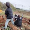 Xで話題になった「芋掘りするトー横キ..