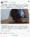 「46歳の初産…」馬鹿げている、産ま..