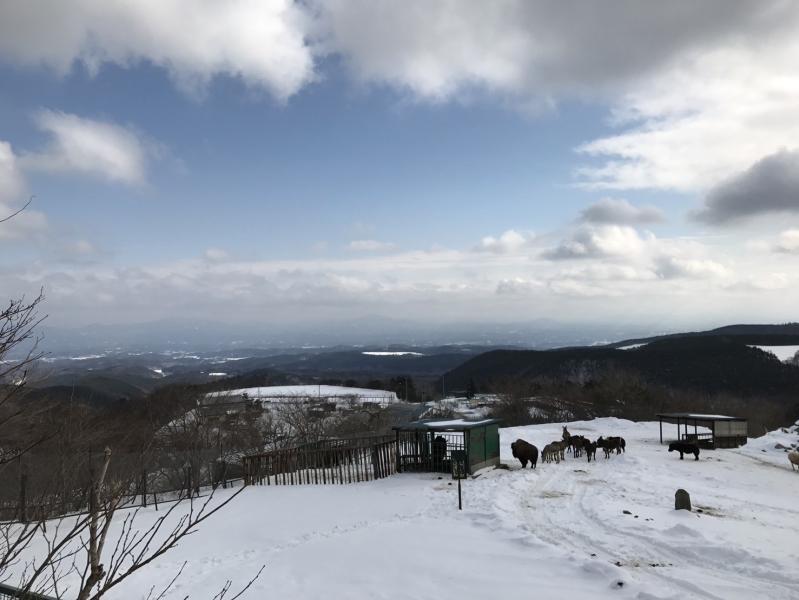 東北サファリパークのイメージ画像