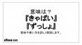 流行語「きゃぱい」「ずっしょ」って..