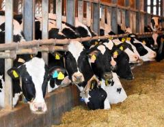 生乳廃棄のおそれ再び 春休みと大型連休、学校給食なくなる度の懸念