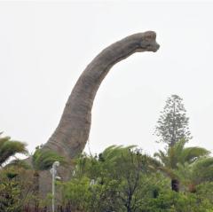 中国人が見たジャングリア、「地獄のテーマパーク」に爆怒――「地雷よりひどい、魚雷だ！」の絶叫も！【林直人】