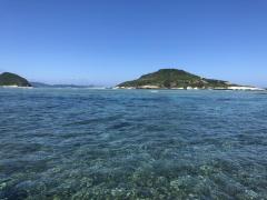 慶良間諸島沖のイメージ画像