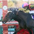 【有馬記念】レガレイラV！ 64年ぶり3..