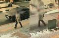 小学生女児を殺害した女性教師、病院..