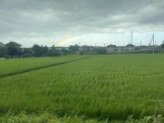 宇都宮の虹のイメージ画像