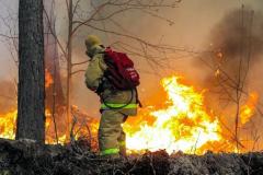 ロシアの自然火災、過去最悪の勢い 侵攻で消火に軍出せない影響かのイメージ画像