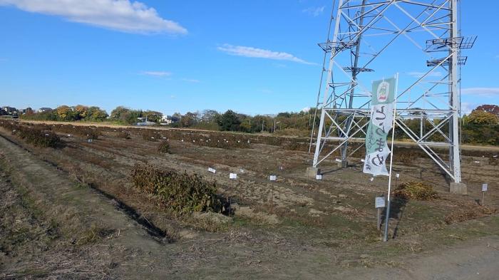 栄町の風景のイメージ画像