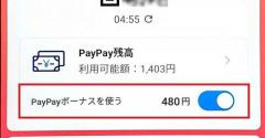 貯まった「PayPayボーナス残高」を使わないようにする設定方法 「ボーナス運用」したい人は必見！