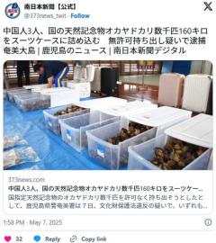 中国人3人、国の天然記念物オカヤドカリ数千匹160キロをスーツケースに詰め込む無許可持ち出しのイメージ画像