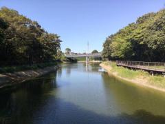 水面広がる三兼池公園のイメージ画像