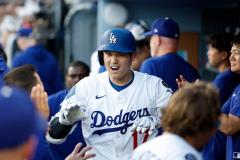 昨季WSの再戦はドジャースが逆転勝利大谷翔平が単独トップ21＆22号MLB史上初の5月で60得点超えのイメージ画像