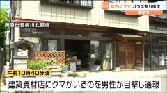 店の中にクマが…対峙した男性“大きな声を出したら”窓ガラス突き破りクマ立ち去る 宮城・栗原市のイメージ画像