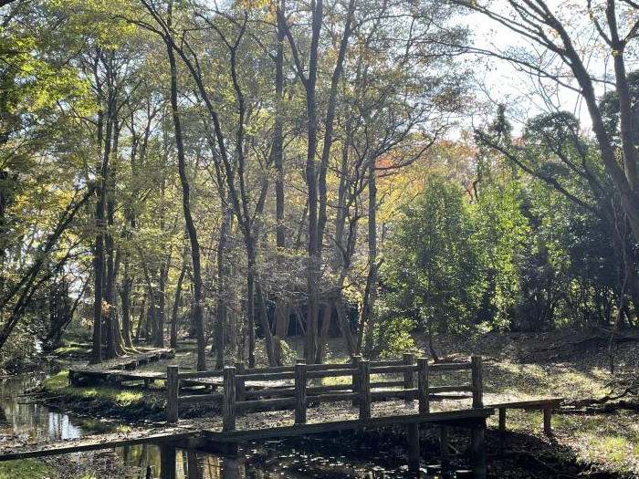 磯川緑地公園のイメージ画像