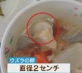 【速報】「大事な息子を返して」給食..